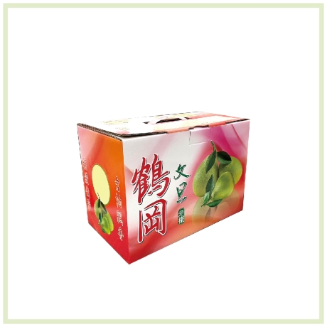 公版-5斤鶴岡文旦箱-10入