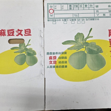 公版麻豆文旦20斤-白牛皮箱 一捆5入