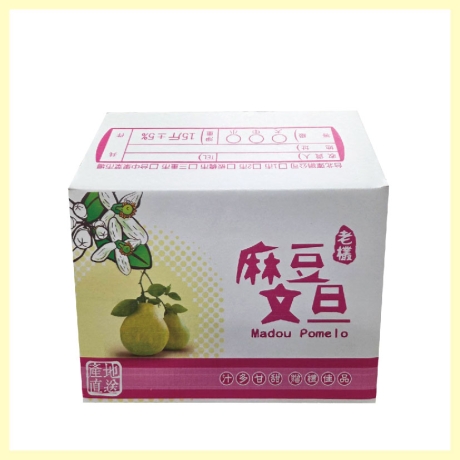 公版麻豆文旦15斤-白牛皮箱 一捆5入